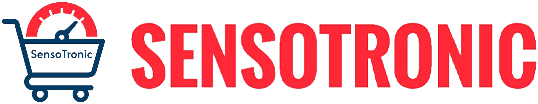 SensoTronic Instruments